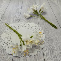 Декоративные лилии белые