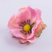 Цветок анемоны розовый
