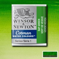 Акварельная краска кювета Winsor № 599 Сушеная зелень