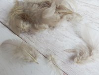 Декоративные перья серые