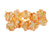 Цветы вишни из шелковичной бумаги, персиковые, 10 шт/уп