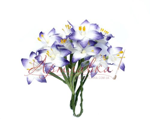 Лилии белые с синим, 10шт/уп