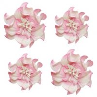 Квіти кучерявої фіалки, набір 2 шт- діам 5см, 2 шт - діам 4,2 см, Рожево-білі