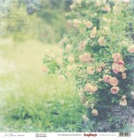 Бумага для скрапбукинга, Цветущий сад  "Дикие розы" 30*30 см