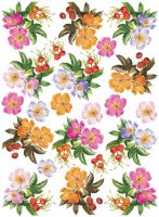 Декупажная карта "Мускусные розы", 60г/м, 50*70см
