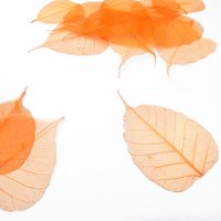 Скелетированные листья оранжевые, 10шт/уп