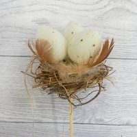 Гніздо із соломи з яйцями й пір'ям