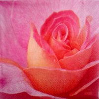 Декупажная салфетка " Розовая роза", 25*25см
