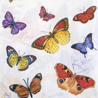 Декупажная салфетка "Редкие бабочки", 33*33см
