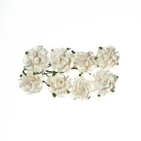 Трояндочки пишні, білі, 8 шт\уп