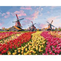 Картина по номерам Сельский пейзаж "Тюльпаны Голландии", 40*50см