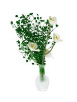 Белые цветы в стеклянной вазе