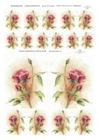Рисова декупажна карта "Рози Джоани Пасік", 20х30см