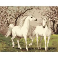 Картина по номерам "Пара единорогов", 40*50см