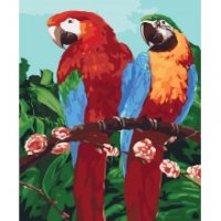 Картина по номерам "Королевские попугаи", 40*50см