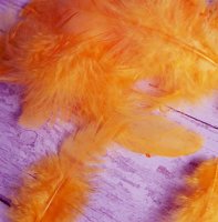 Декоративные перья оранжевые