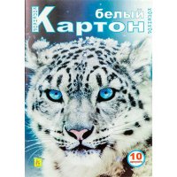 Белый картон папка, А4, 250g, 10л