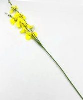 Веточка орхидеи, Желтая