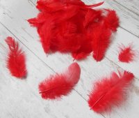 Декоративные перья красные