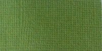 Кардсток текстурна, Зелена папороть, 216г/м2, 30,5х30,5см