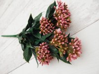 Каланхоэ розовый в букете