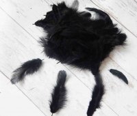 Декоративные перья черные