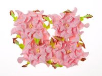 Цветы гардении с листочками, Нежно-розовые, 7 см, 4шт/уп