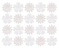 Набір квітів із шовковичного паперу, білі, 20шт/уп