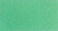 Кардсток текстурный, Зеленый луг, 216г/м2, 30,5х30,5см