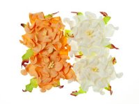 Цветы гардении с листочками, Белые и персиковые, 7см, 4шт/уп