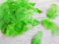 Декоративные перья зеленые