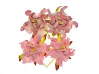 Цветы гардении с листочками, Розовые (микс), 5см, 4шт/уп