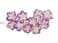 Квіти вишні із шовковичного паперу, фіолетові з білим, 10 шт/уп