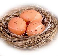 Декоративное гнездо с яйцами