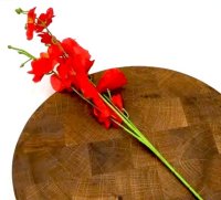 Веточка орхидеи, Красная