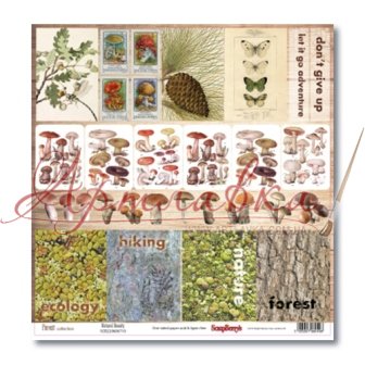 Папір для скрапбукінгу 30,5х30,5 см 190 гр/м У лісі  За грибами