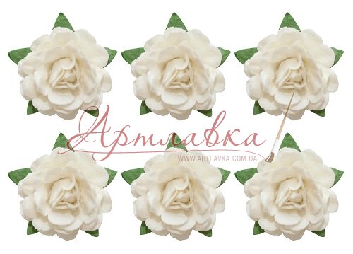 Цветы чайной розы, диам 18 мм, 6 шт, Белые