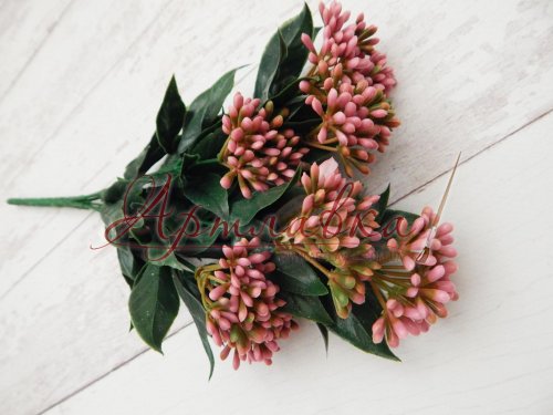 Каланхоэ розовый в букете