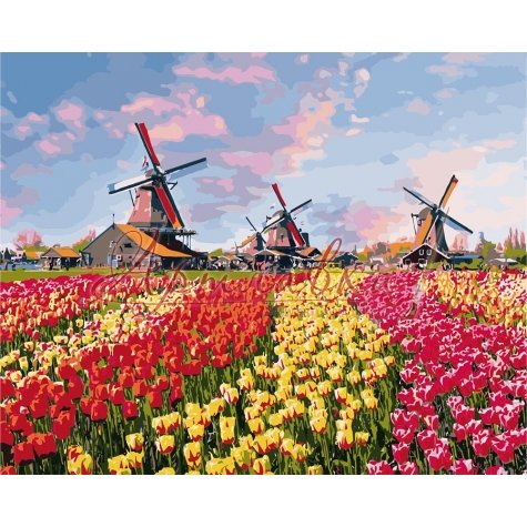 Картина по номерам Сельский пейзаж Тюльпаны Голландии, 40*50см