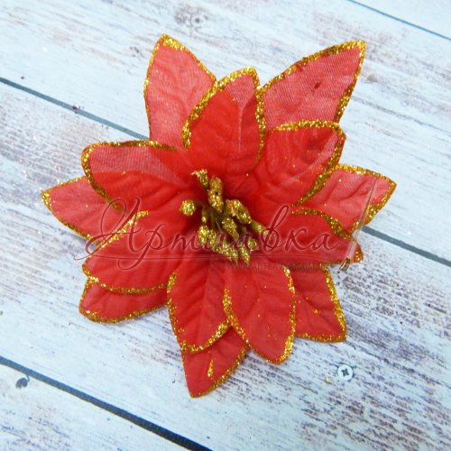 Квітка Пуансетія Рождественська червона