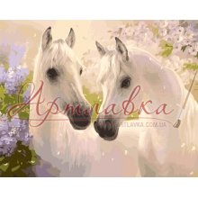 Картина по номерам Пара лошадей, 40*50см