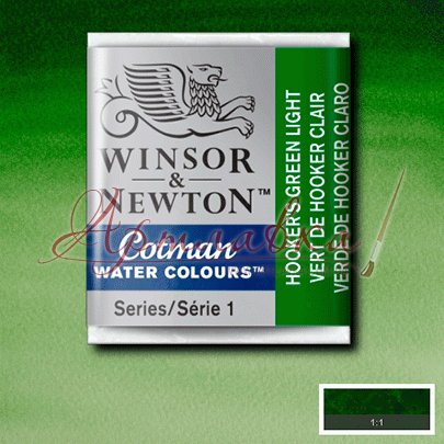 Акварельная краска кювета Winsor № 314 Хукер светло-зелёный