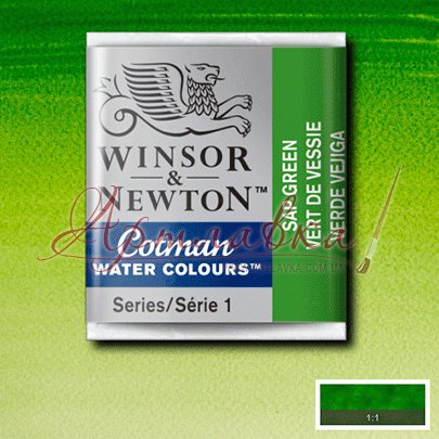 Акварельна фарба кювету Winsor № 599 Сушена зелень