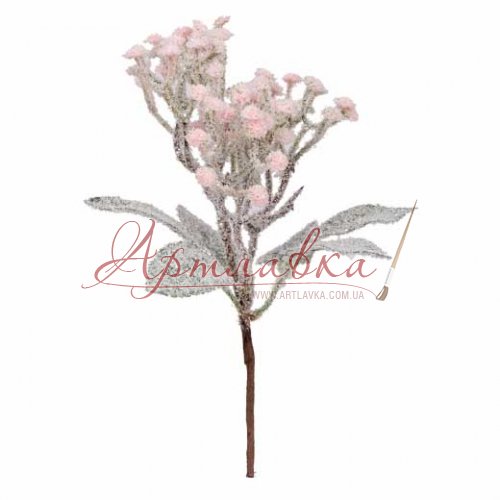 Зимняя веточка заснеженная, розовые цветки