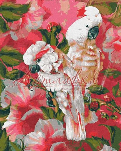 Картина по номерам Малиновые какаду, 40*50см