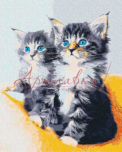 Картина по номерам Голубоглазые котики, 40*50см