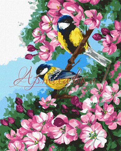 Картина по номерам Птички на цветущих веточках, 40*50см