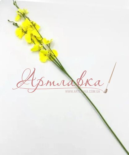 Гілочка орхідеї, Жовта