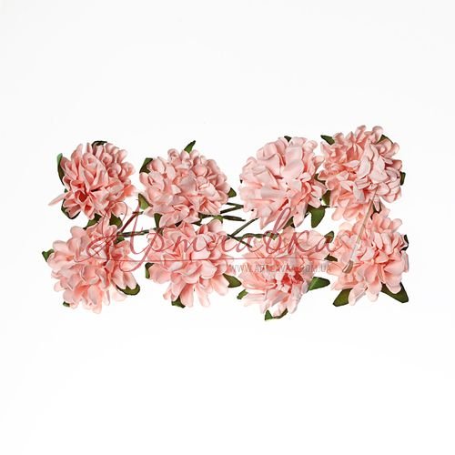 Астры декоративные, нежно-розовые, 8 шт\уп