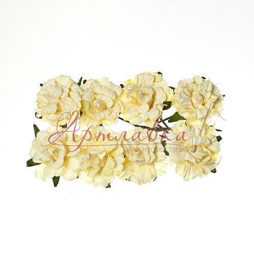 Розочки пышные, кремовые, 8 шт\уп